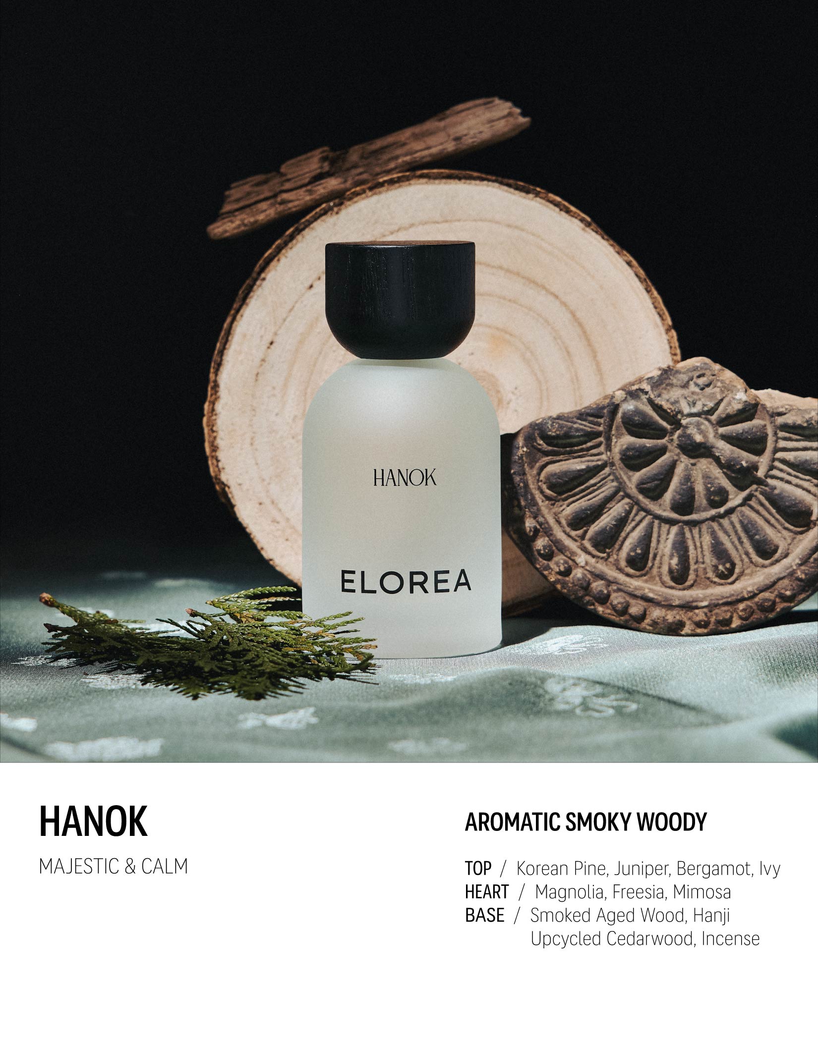 Woody Discovery Set – ELOREA