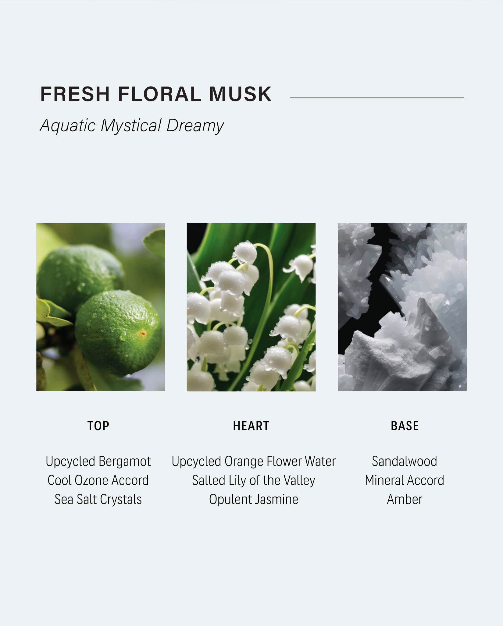 HAZY BLUE Extrait de Parfum | Korean Perfume | ELOREA