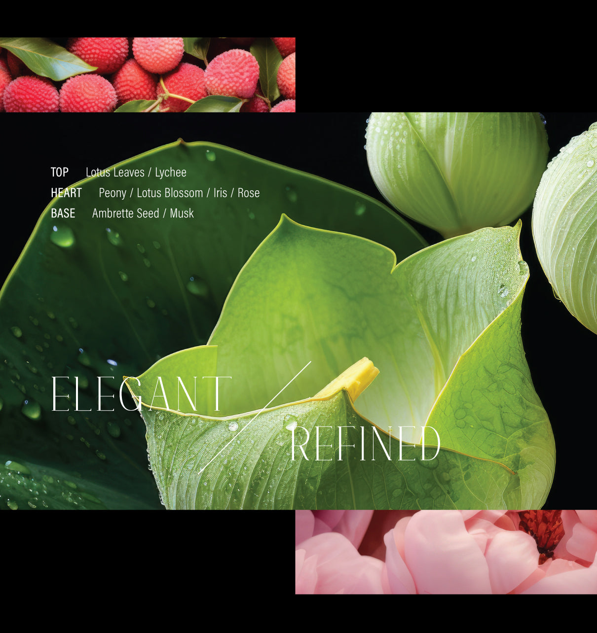 GIT (깃) Travel Size